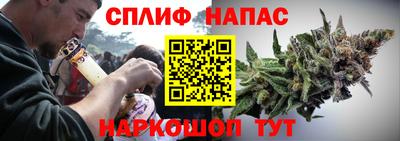 тгк Будённовск