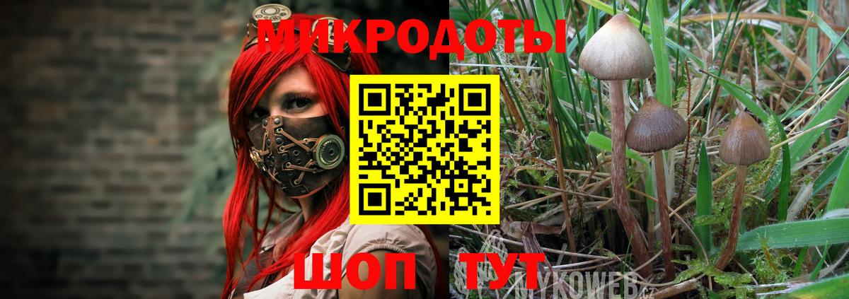 Северск  Псилоцибиновые грибы мицелий  Вход с VPN  Псилоцибиновые грибы MAGIC MUSHROOMS 