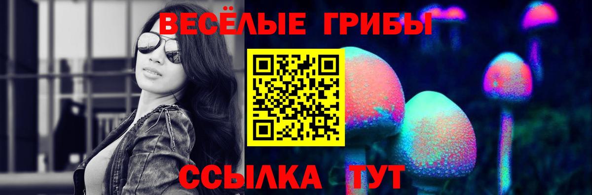 Галлюциногенные грибы MAGIC MUSHROOMS Северск