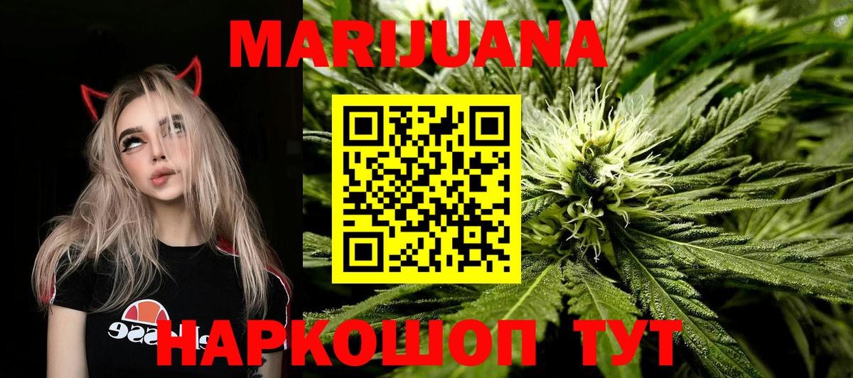 Конопля OG Kush Северск